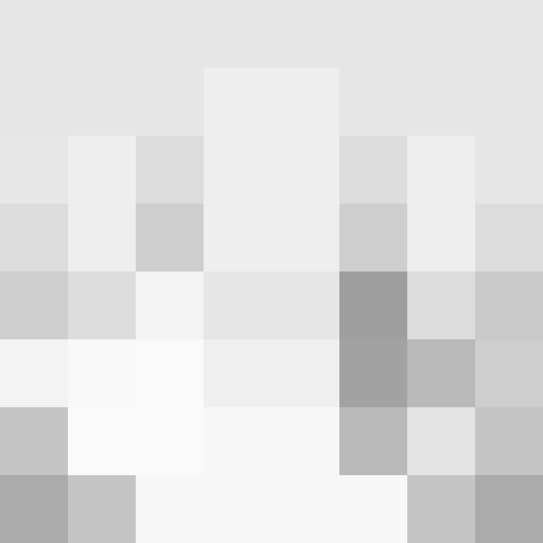 rhiiess's skin