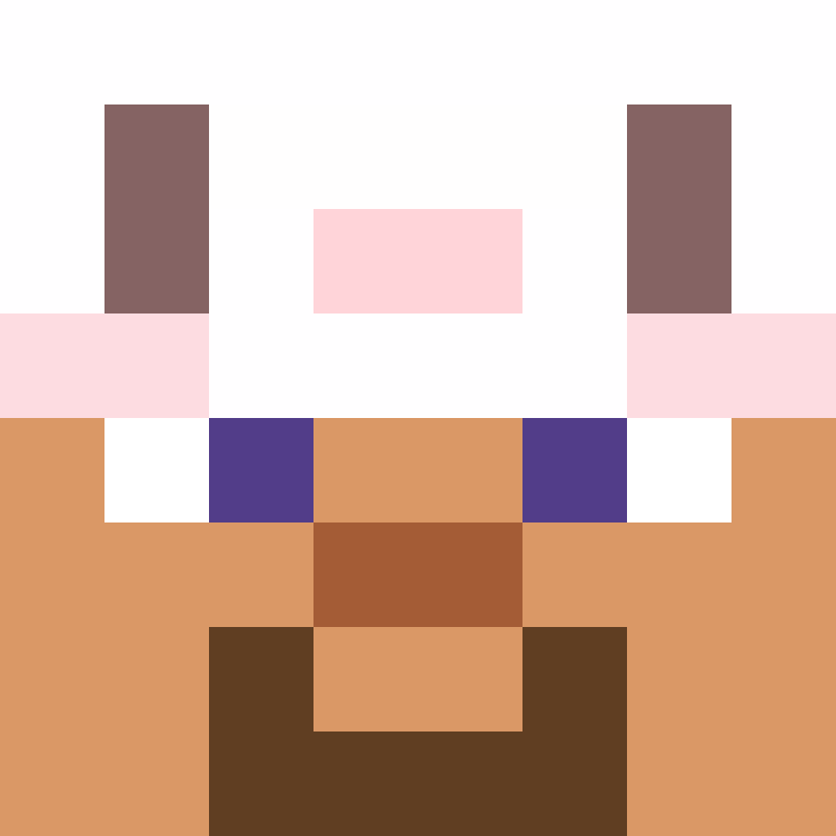 prettifvn's skin