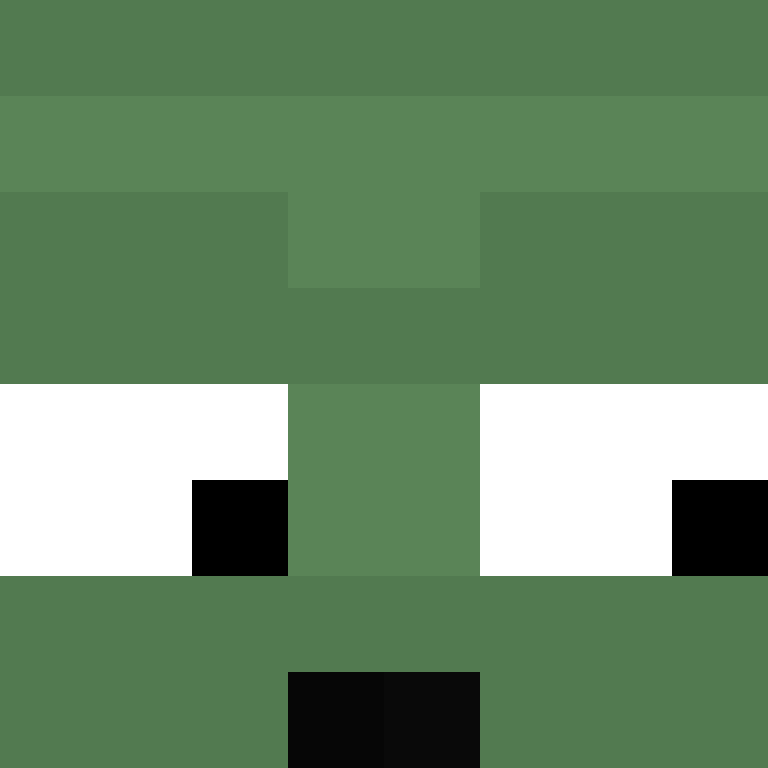 Lxrs's skin