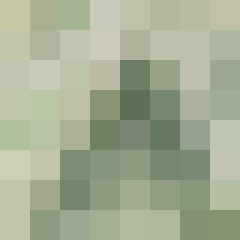 clouxit's skin
