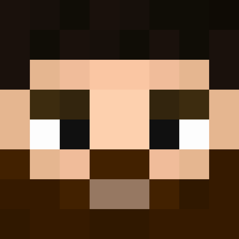 WiPking's skin