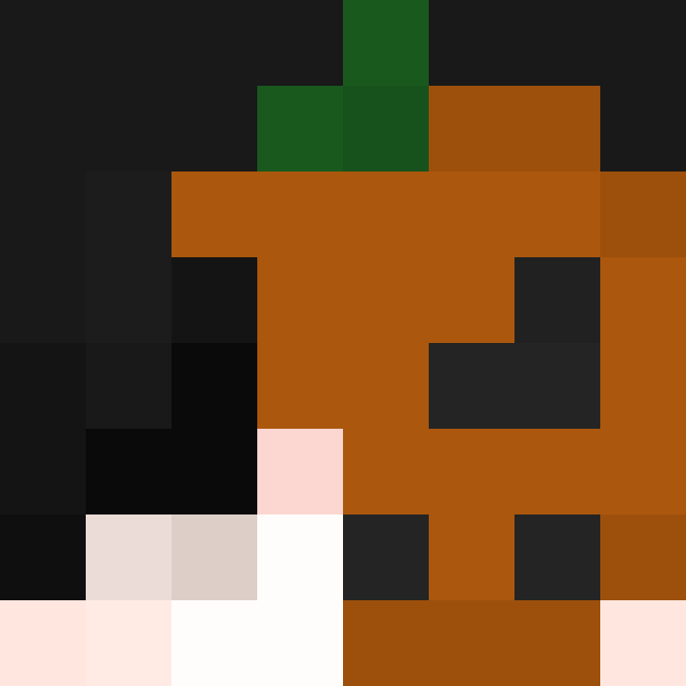 renkee's skin