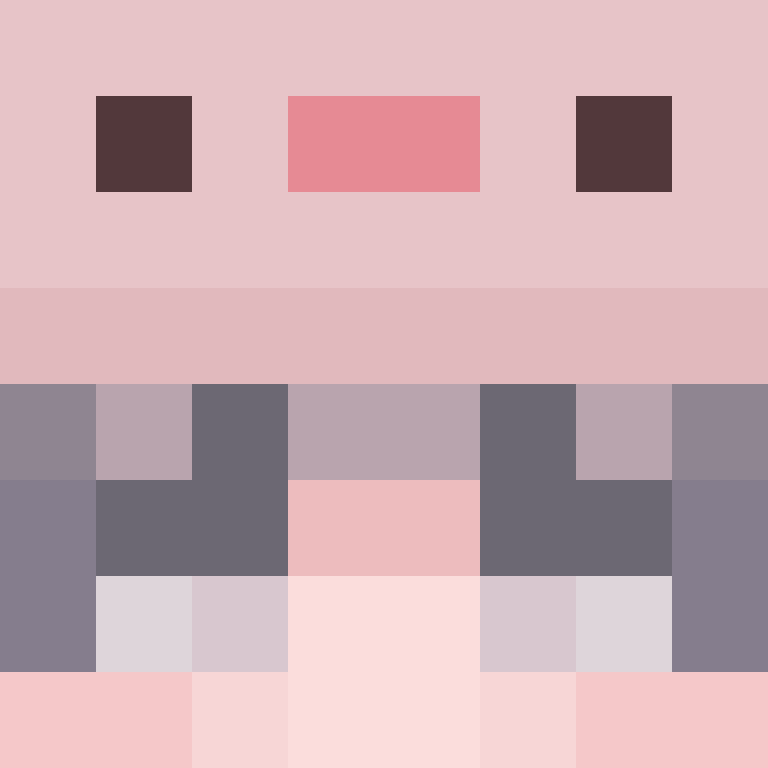 8aca680b22461340's skin