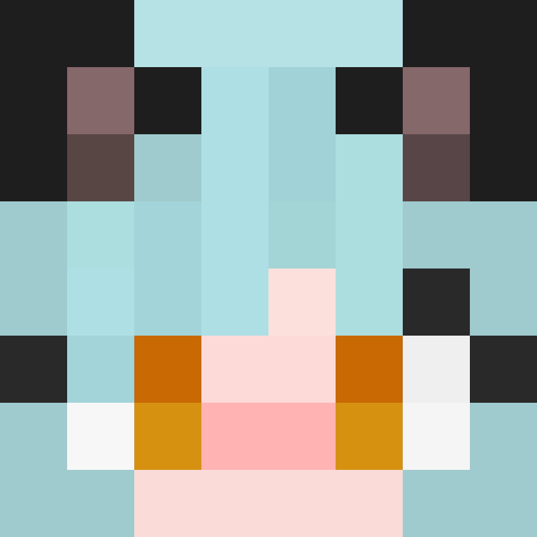 Bytudi's skin