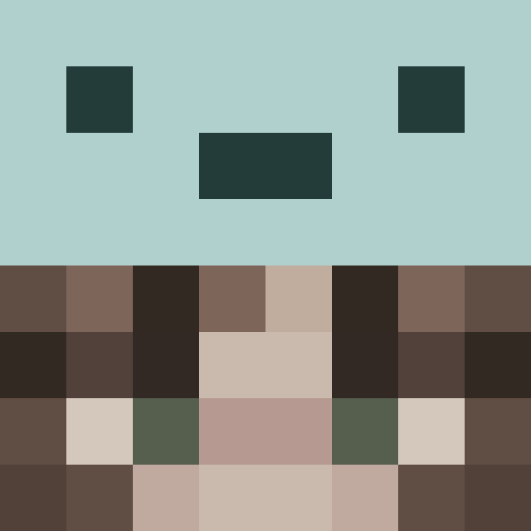 EcilaSok's skin