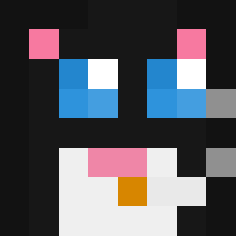 paaaxa's skin