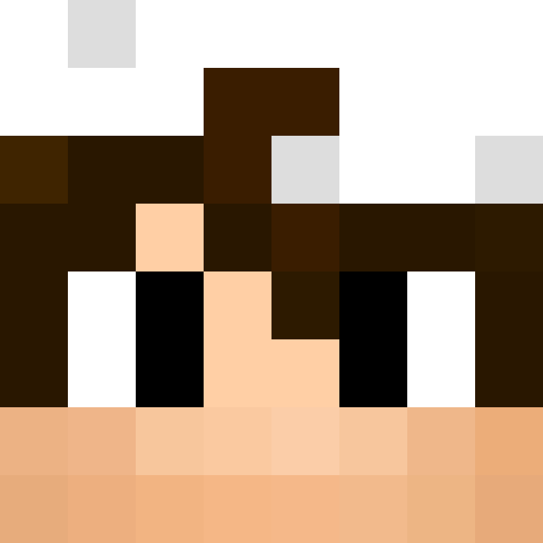 xX_No_Income_Xx's skin