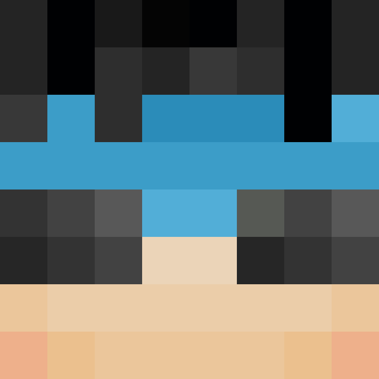 Fixce's skin