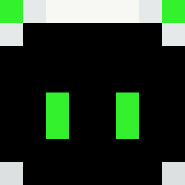 Stelivast's skin