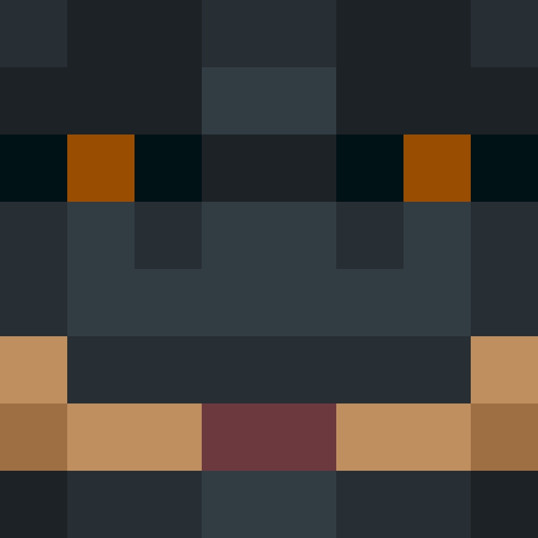 shingoj1ra's skin