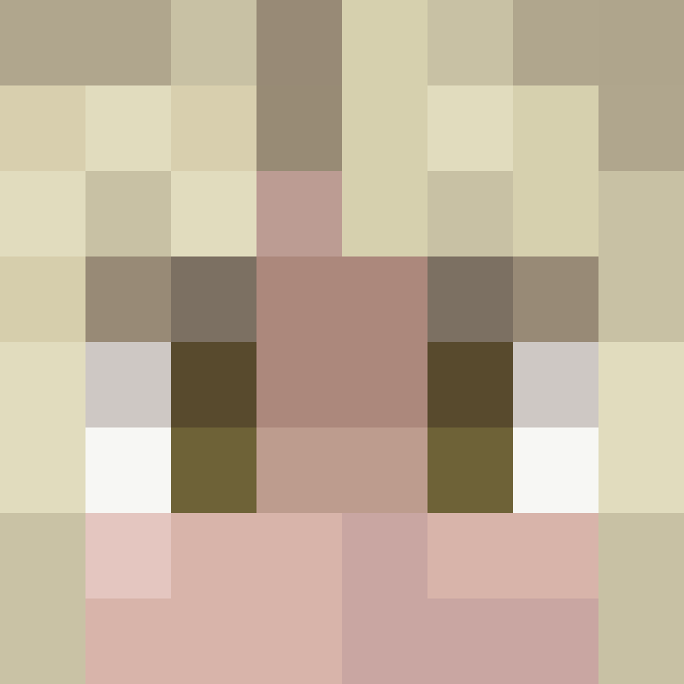 wartoony's skin