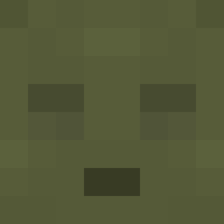 Robbelox's skin