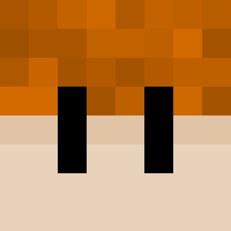 _VeerMC's skin