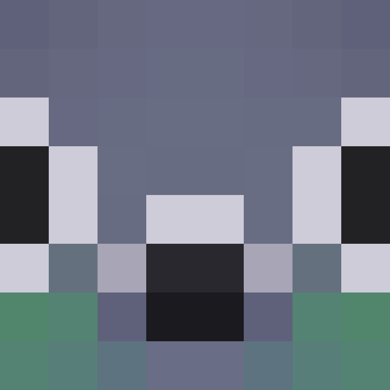 Bearlx's skin