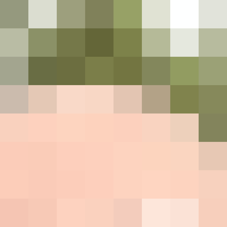 burizonek's skin