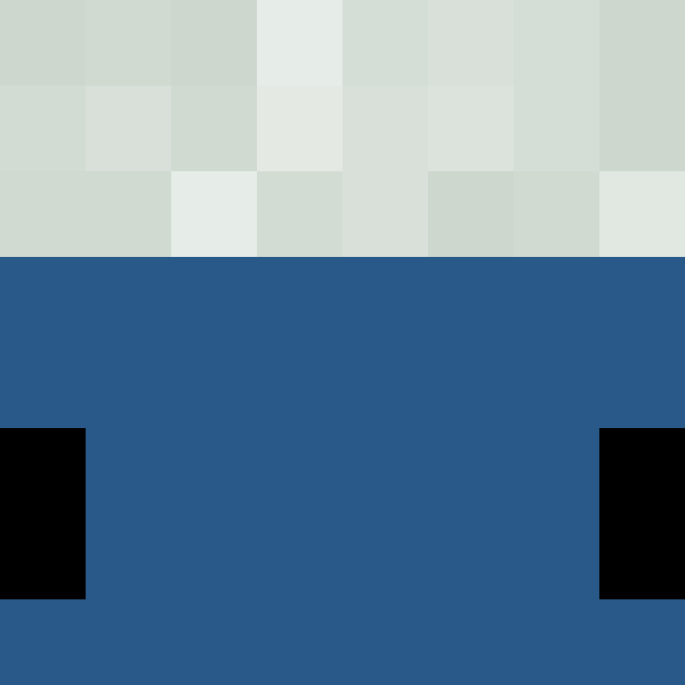 itsnoobking's skin