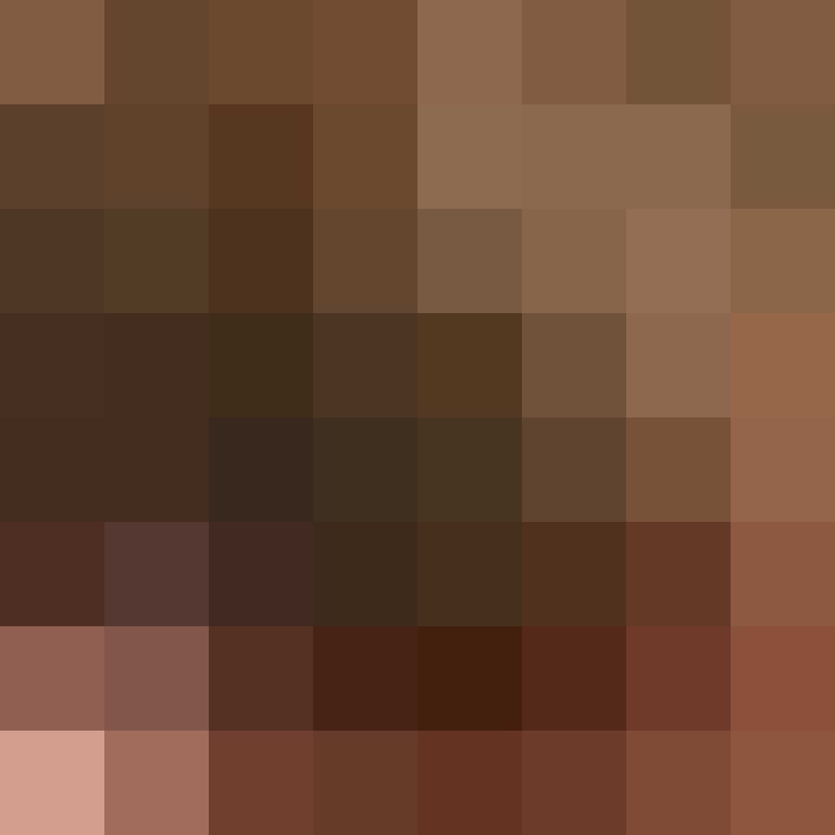 Fixert's skin