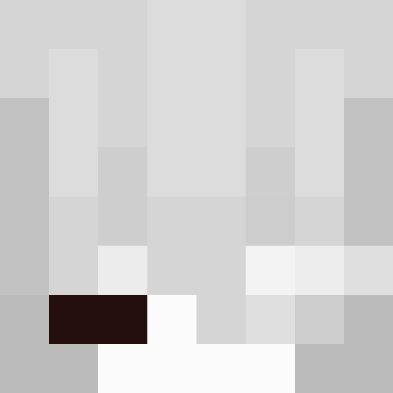 Nbss's skin