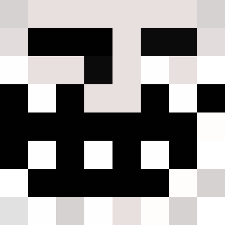 SlowDownFixer's skin