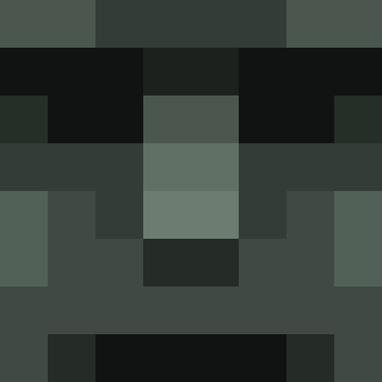 ender___55's skin