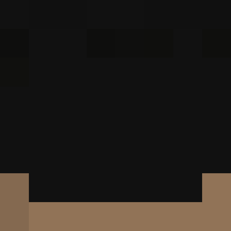 Timonfan06's skin