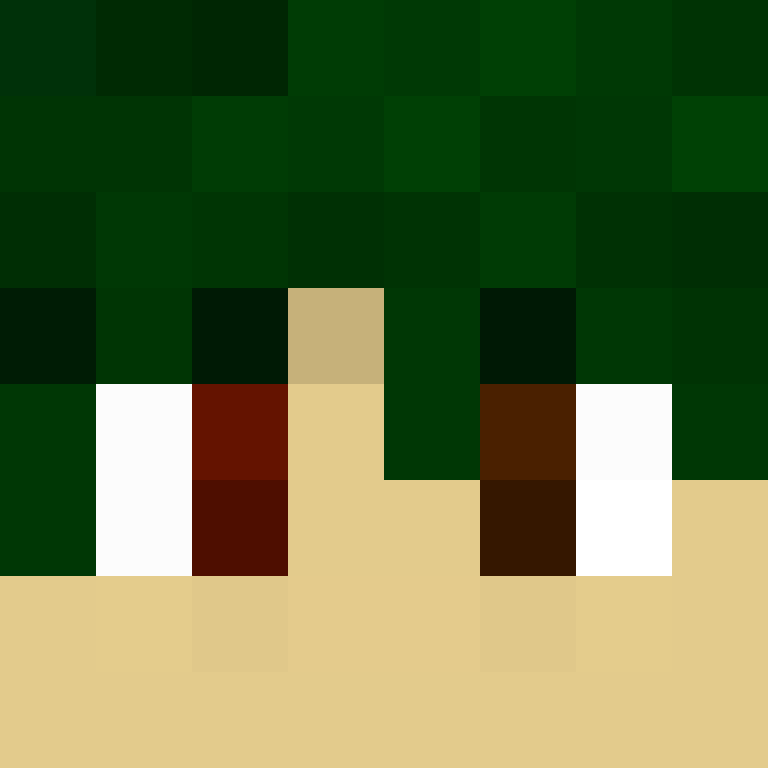 hanoJ's skin