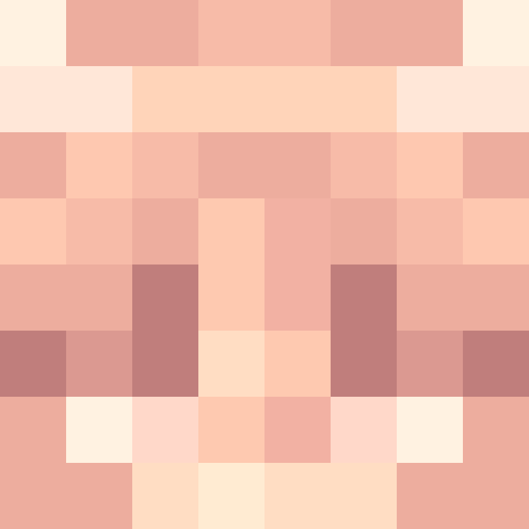 StinchcombRaider's skin