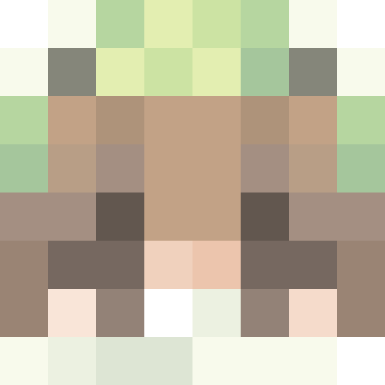 Holyshameow's skin