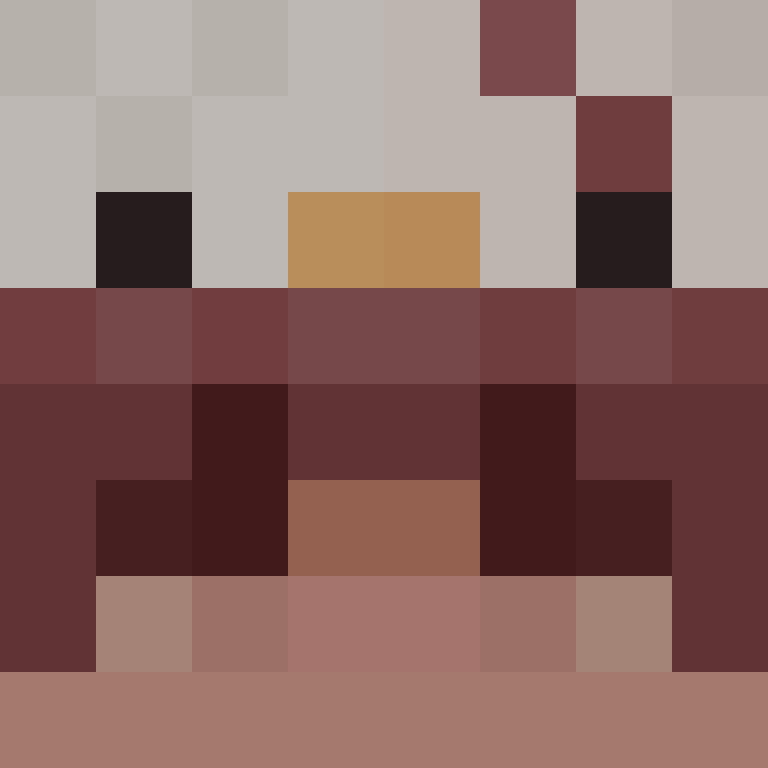 anisgk's skin
