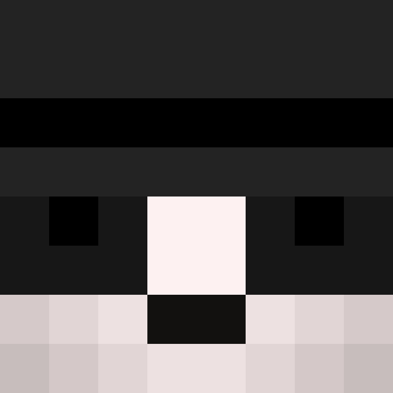 premiumbroom's skin