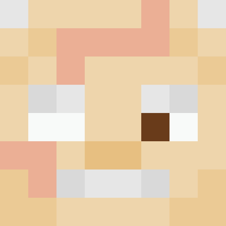 AlloySnow's skin