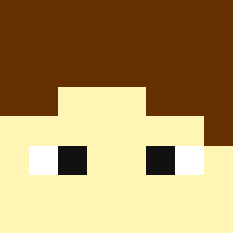 Tem1ch's skin