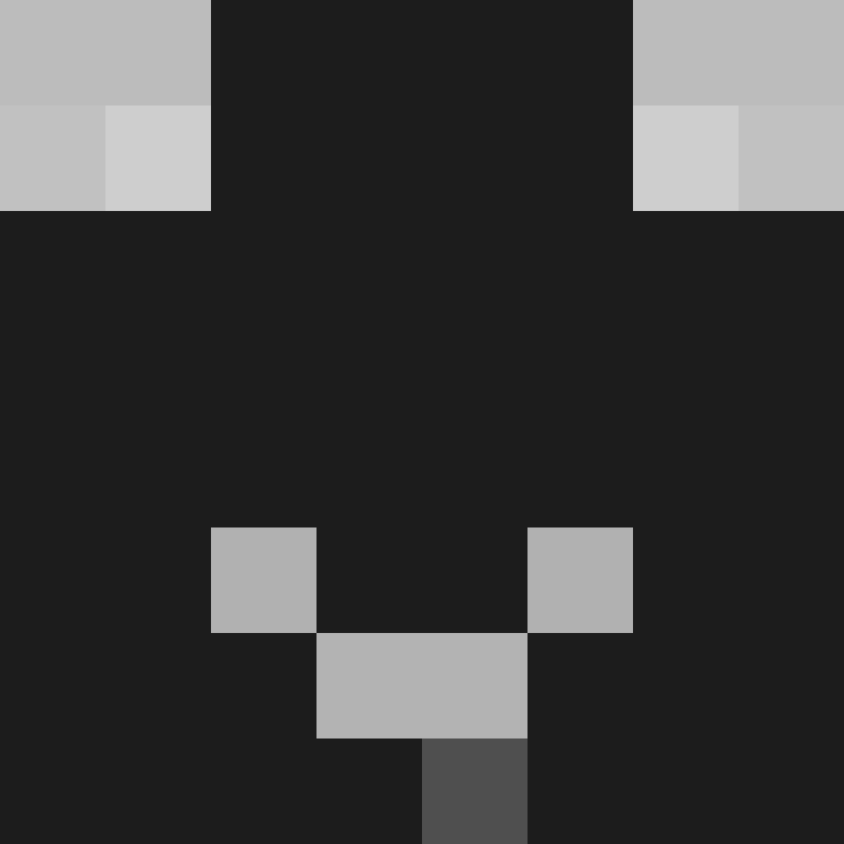 sksanjwl's skin