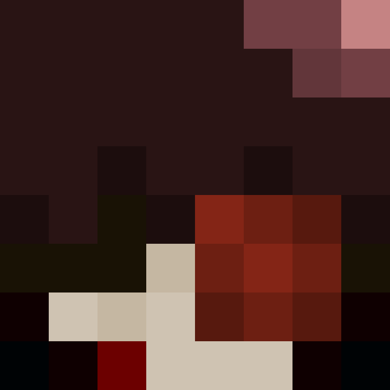 pawradise's skin