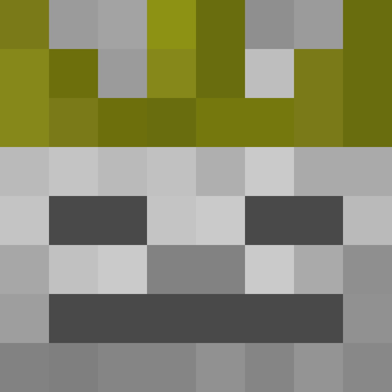 tortei's skin
