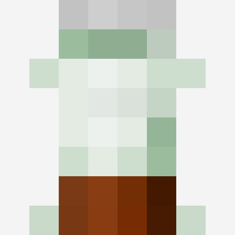 Shwimpy55's skin