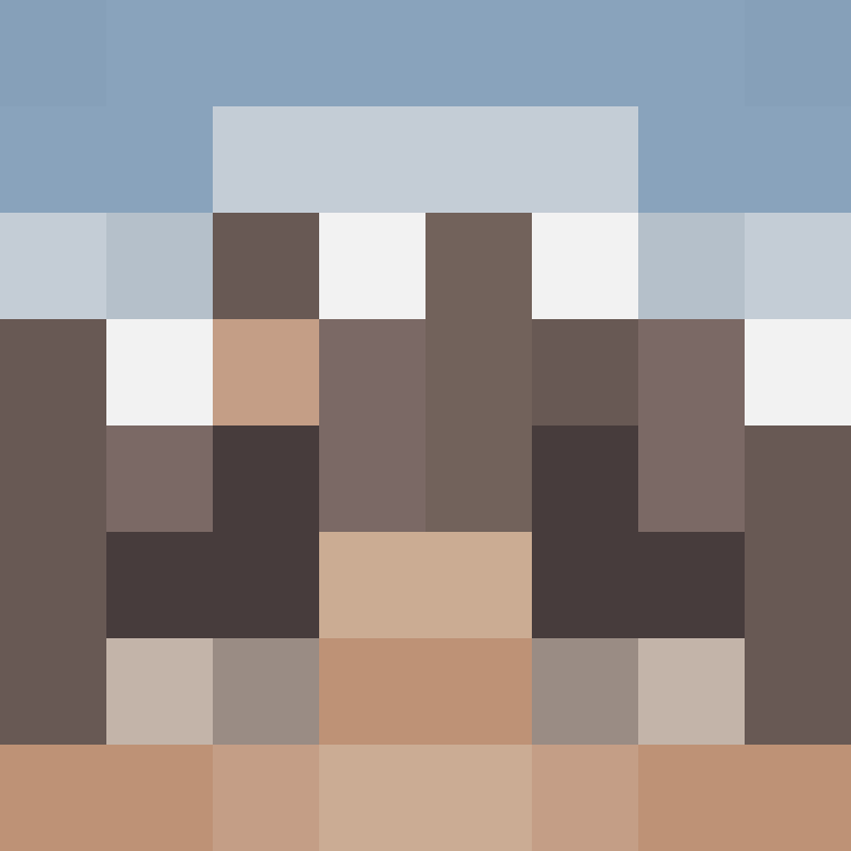 Shn4rk's skin