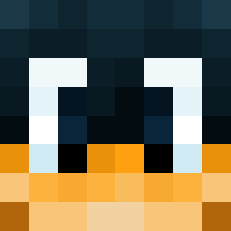 SlowGoose's skin