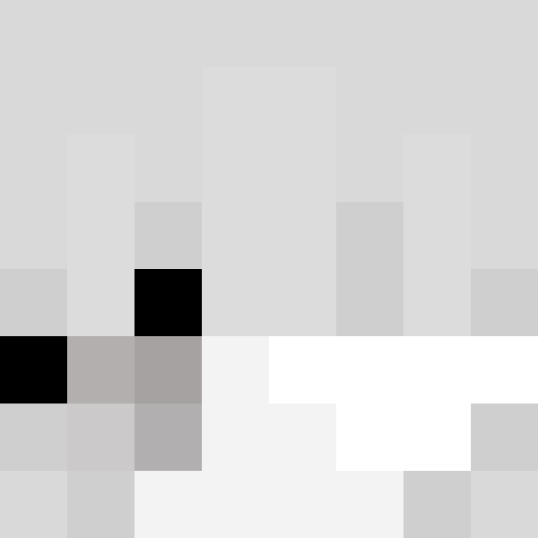 petarum's skin