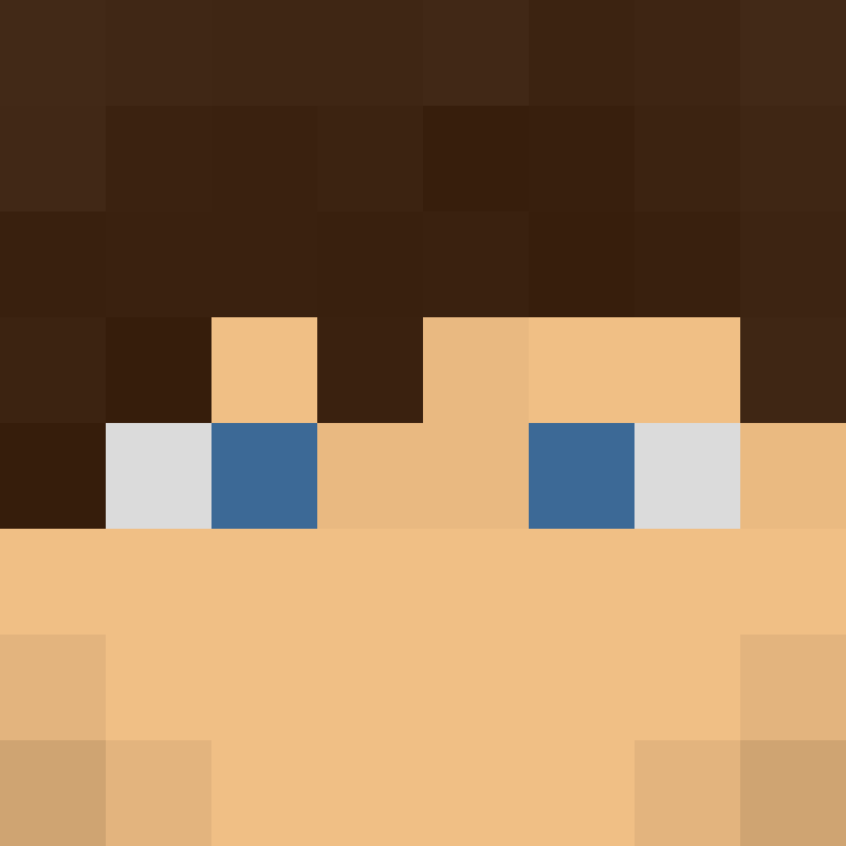 460C's skin