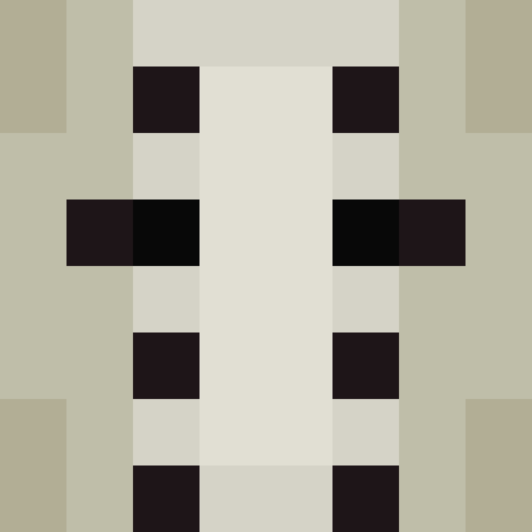 6entt's skin