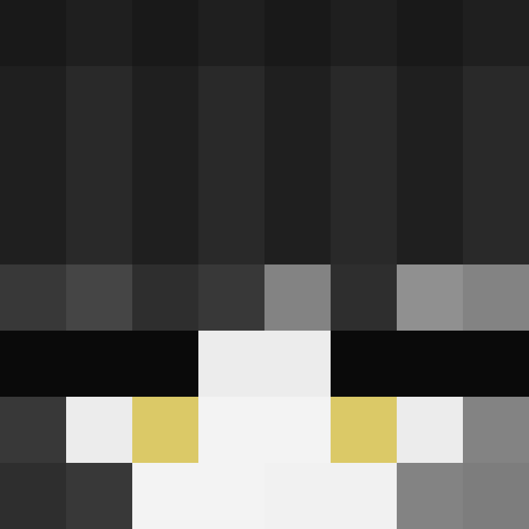 JCP1010's skin