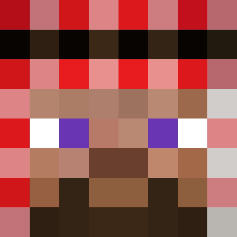 carhijacker's skin