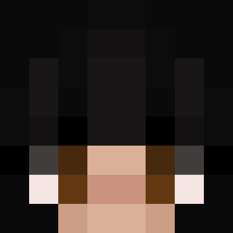 Lowpixelation's skin