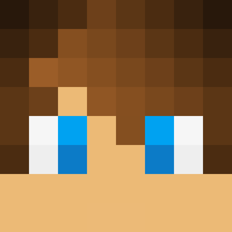 RmPlayzSM's skin