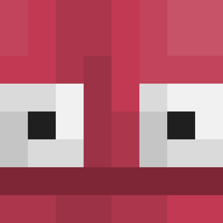 PR0GRAM3R2's skin