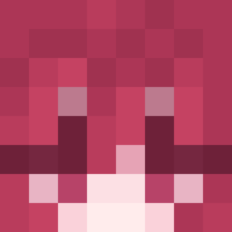 iArepa's skin