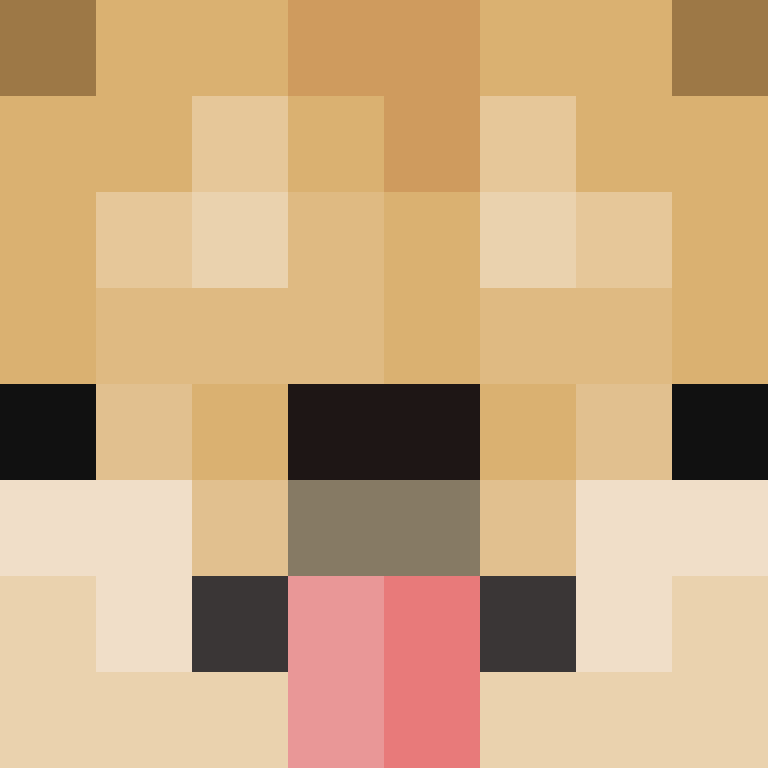 hnho's skin
