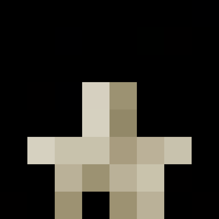 wzvvr's skin