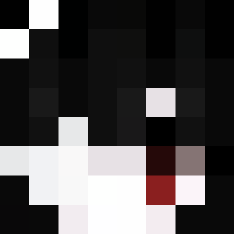 Casxty's skin